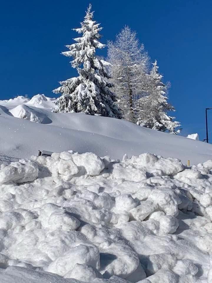 White Home Tonale Passo del Tonale Exterior foto