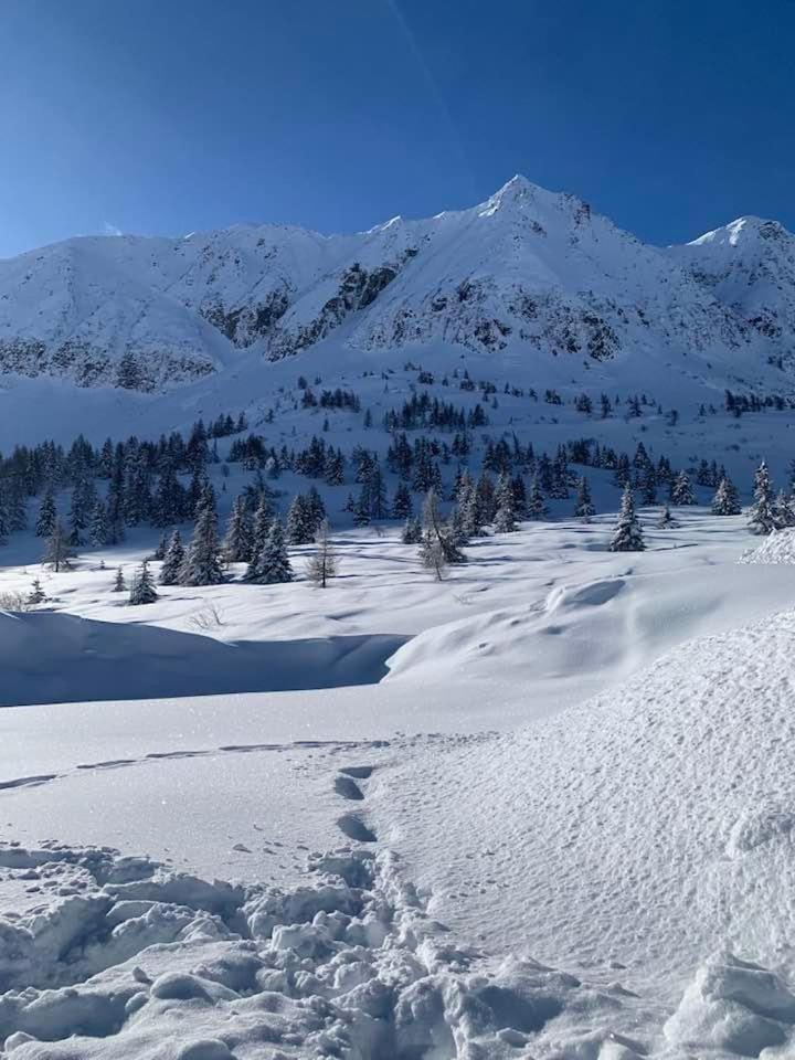 White Home Tonale Passo del Tonale Exterior foto