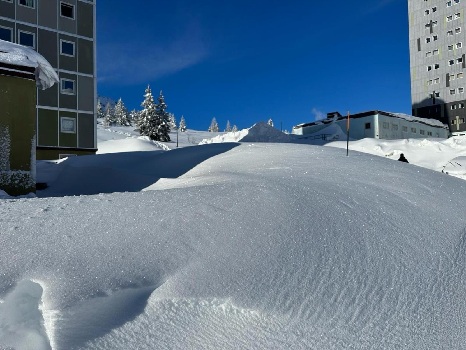 White Home Tonale Passo del Tonale Exterior foto